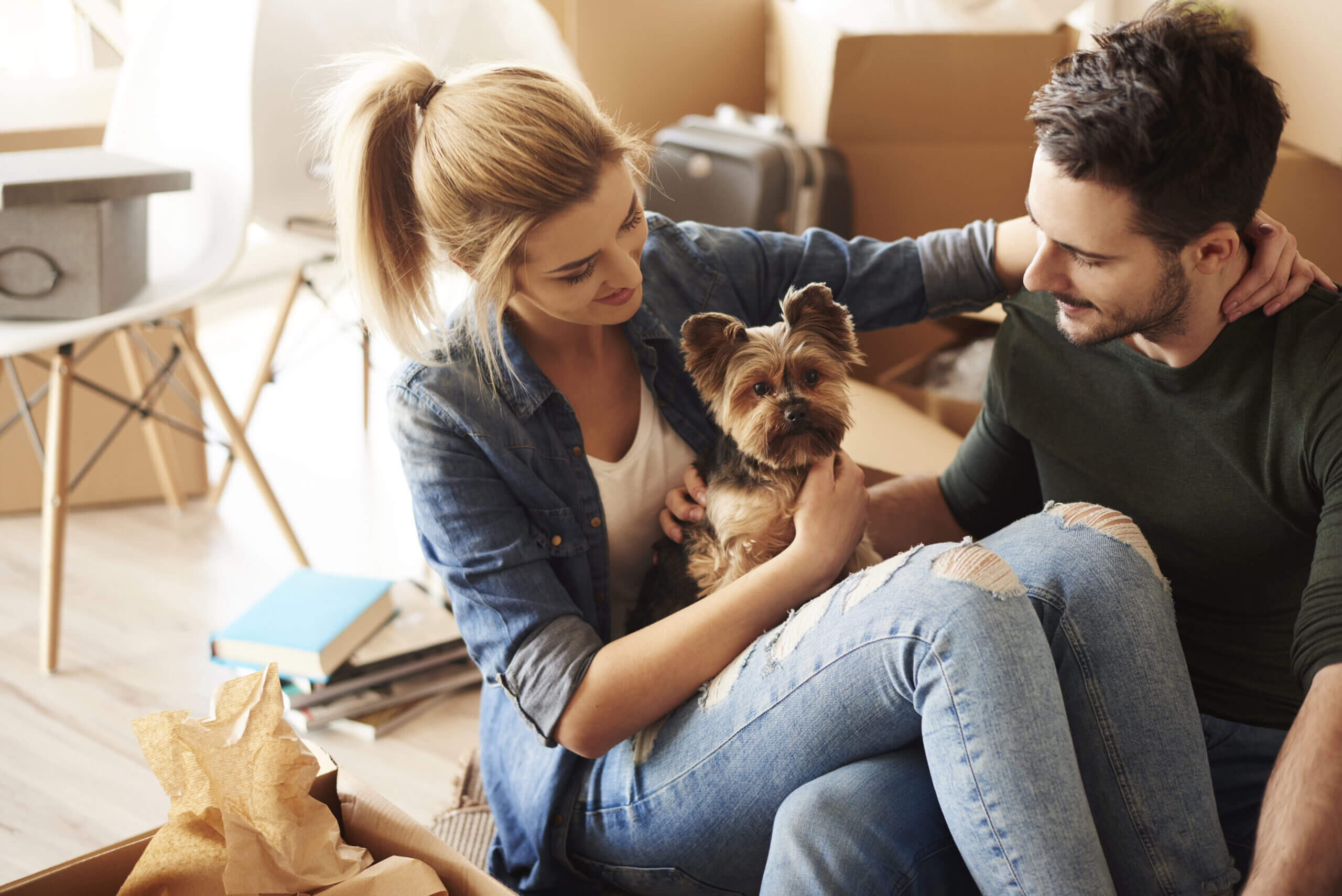moving-house-1-scaled couple-dog-move-house